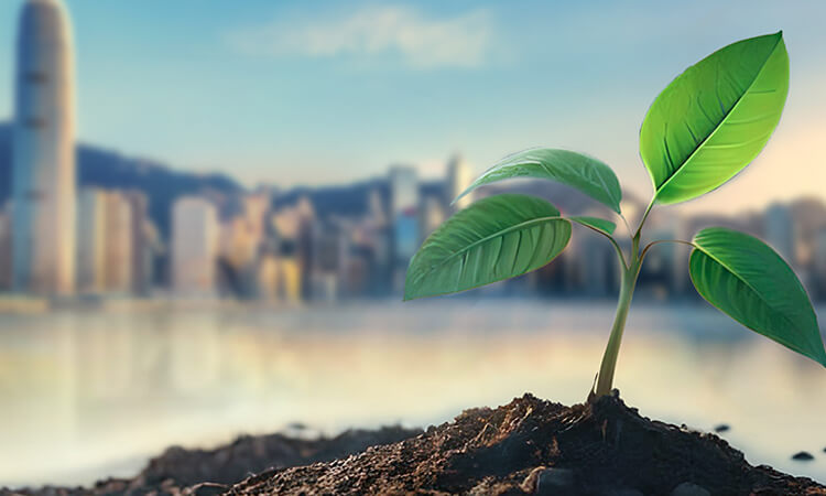 手机端banner