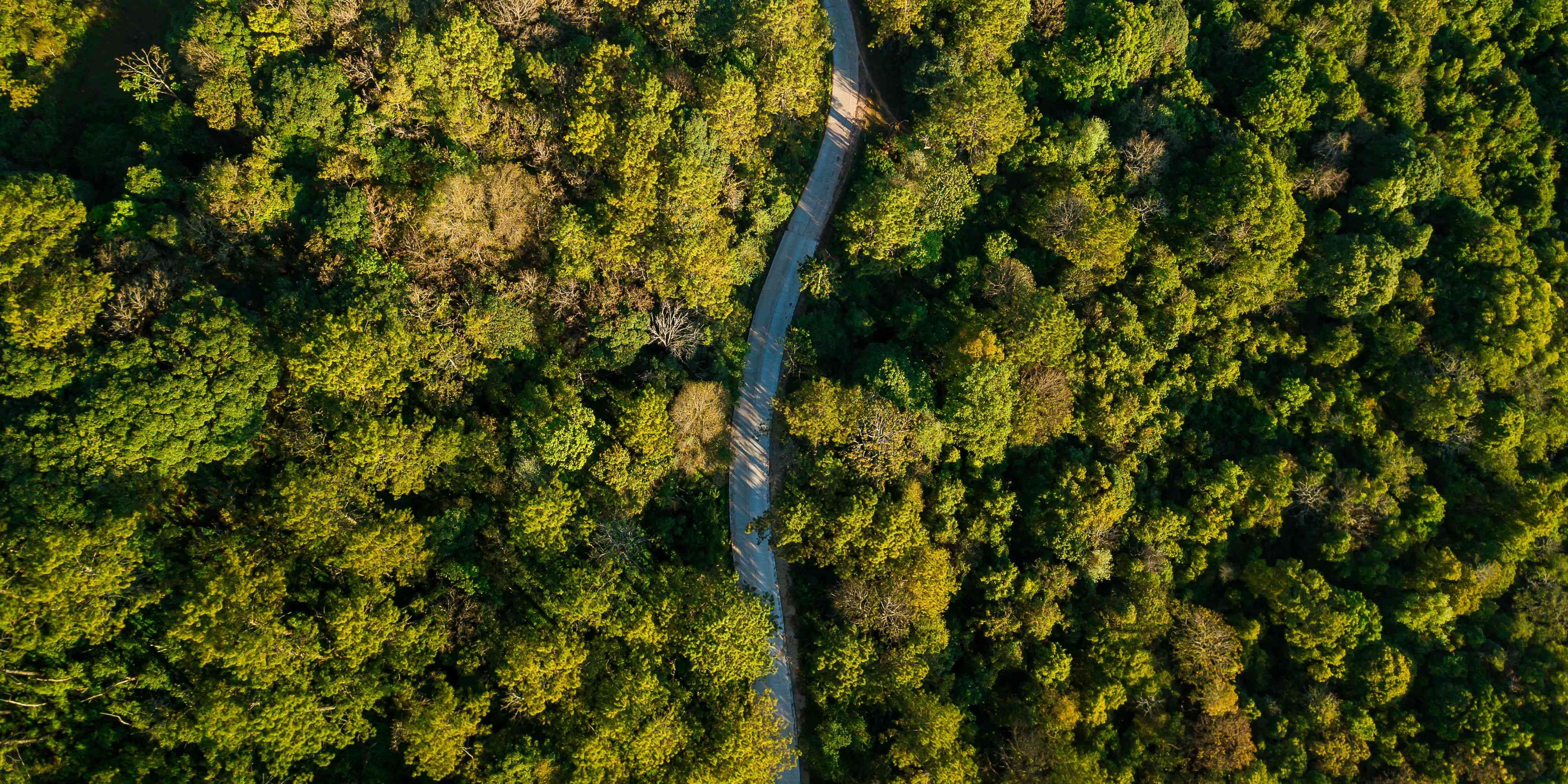 Carbon Consulting and Validation