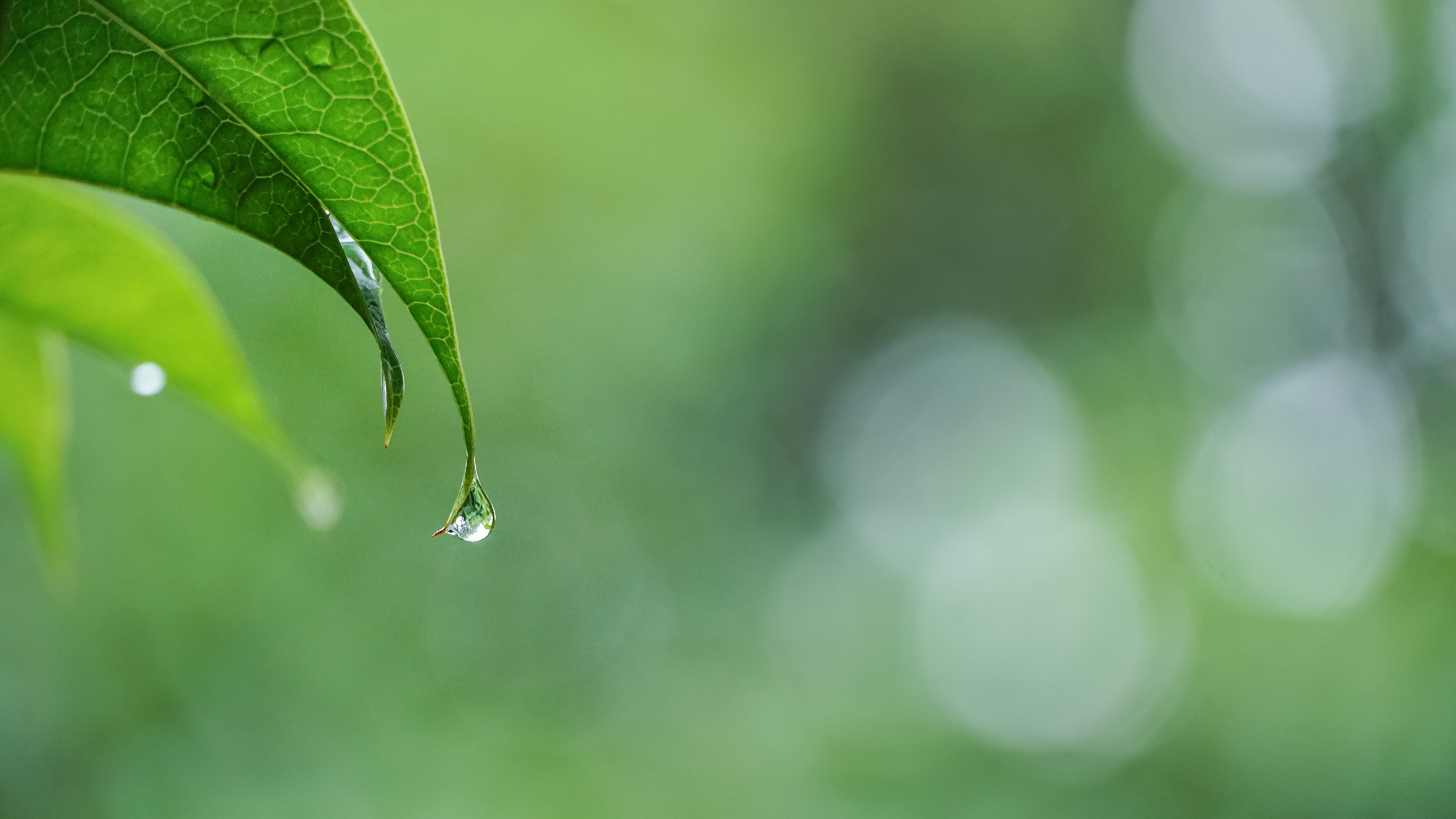 [PR] Pingxiang City Construction Investment Group Co., Ltd. | Sustainability Finance Framework SPO
