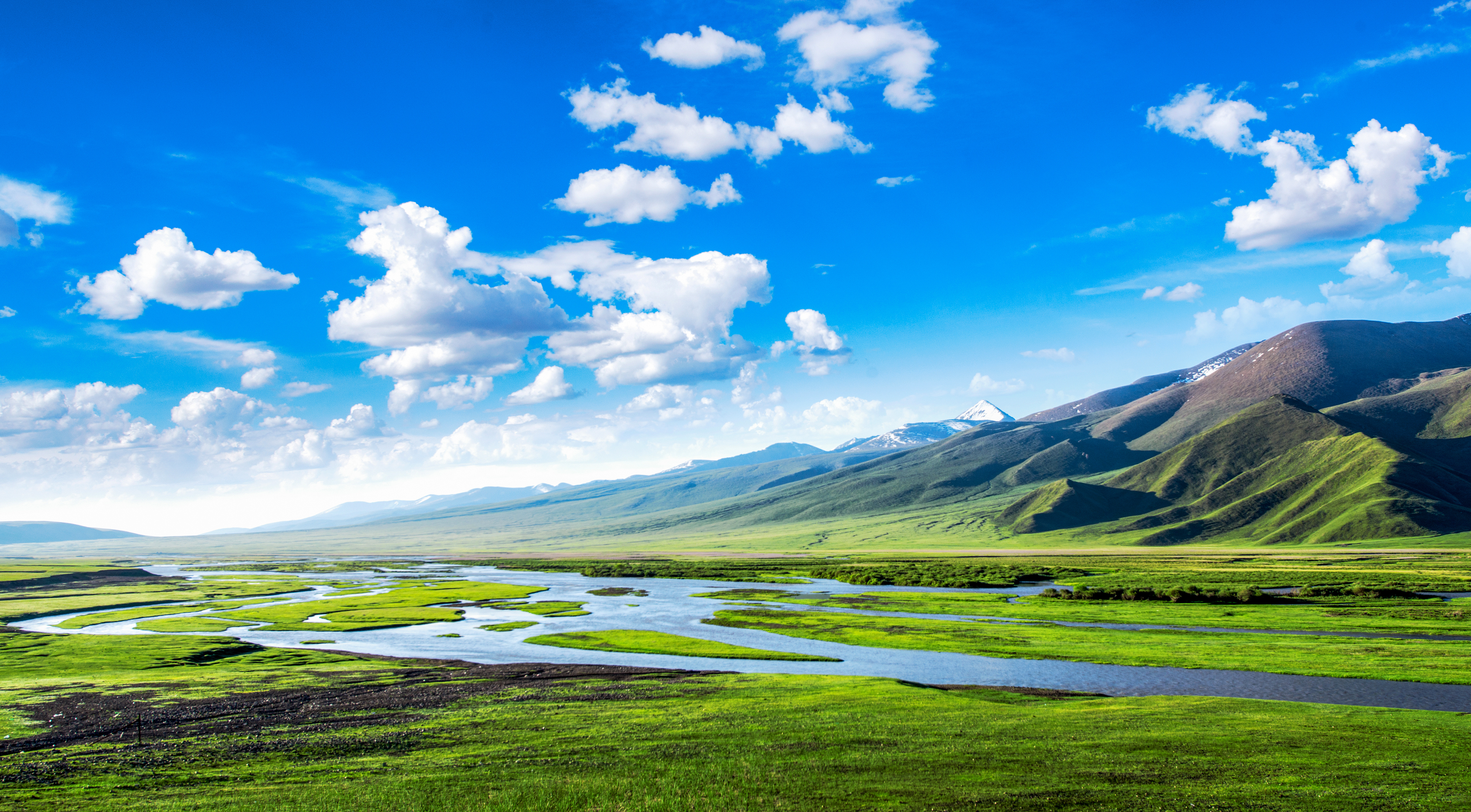 [Monthly Report] Carbon Credit Opportunity: Unlocking Corporate Climate Impact and Market Value