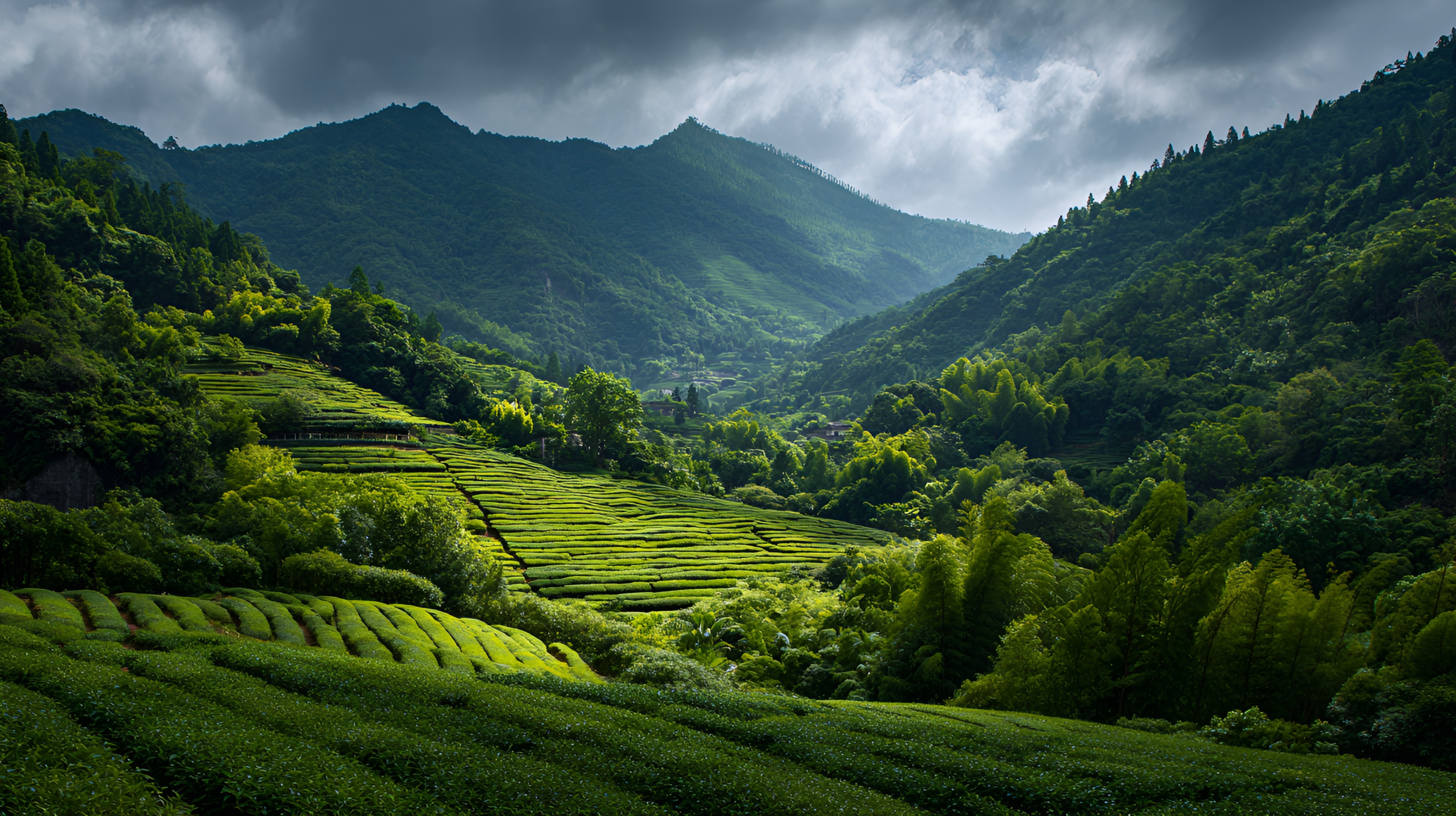 【新闻稿】重庆市潼南区建设工程（集团）有限公司 | 募集资金用途评估